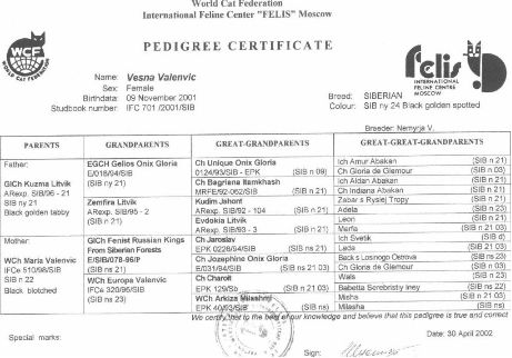 Siberian cat pedigree certification 
